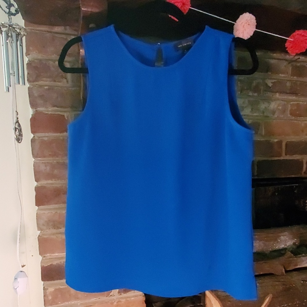 Blue Sleeveless Blouse